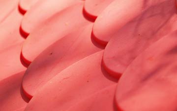 Attleton Green plastic roof costs