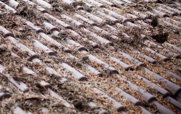 Attleton Green roof cleaning companies
