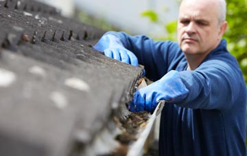 cleaning and inspecting Attleton Green roofs