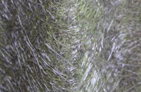 Attleton Green fibreglass roof work